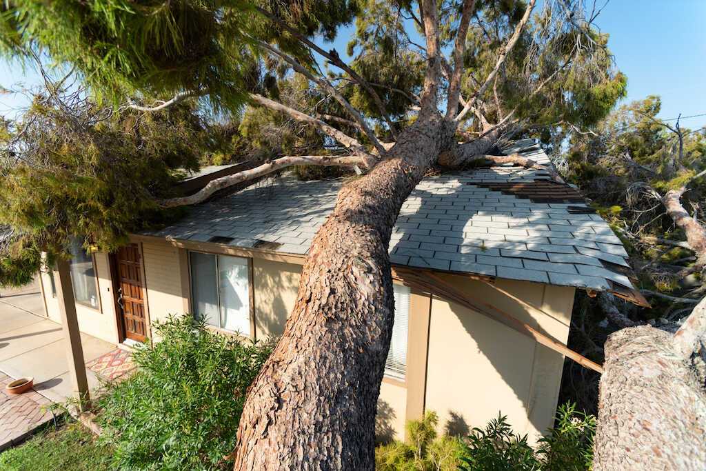 damaged roof