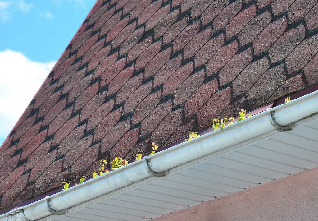 how much do gutters cost