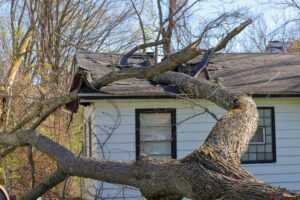 The Importance of Timely Storm Damage Repairs for Your Roof and Siding