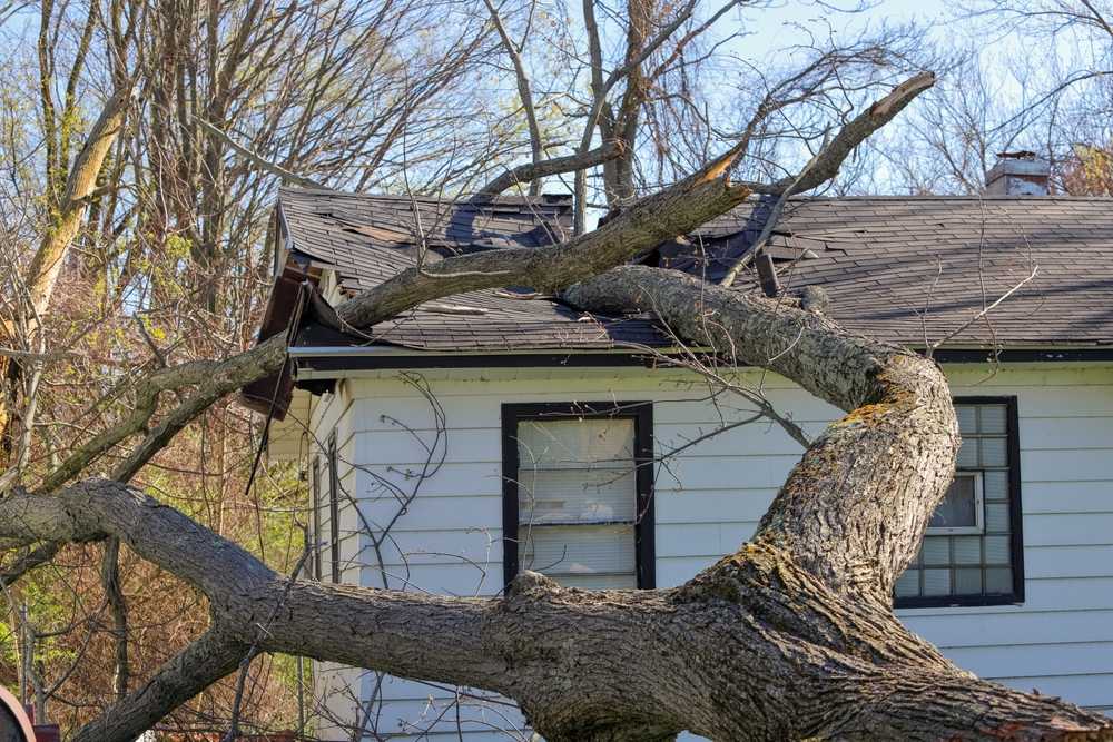 The Importance of Timely Storm Damage Repairs for Your Roof and Siding