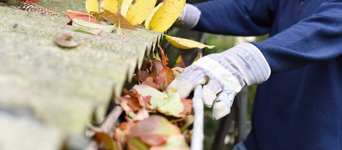 gutter cleaning