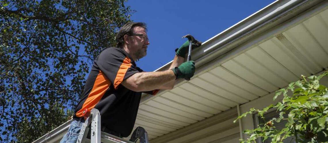 gutter maintenance