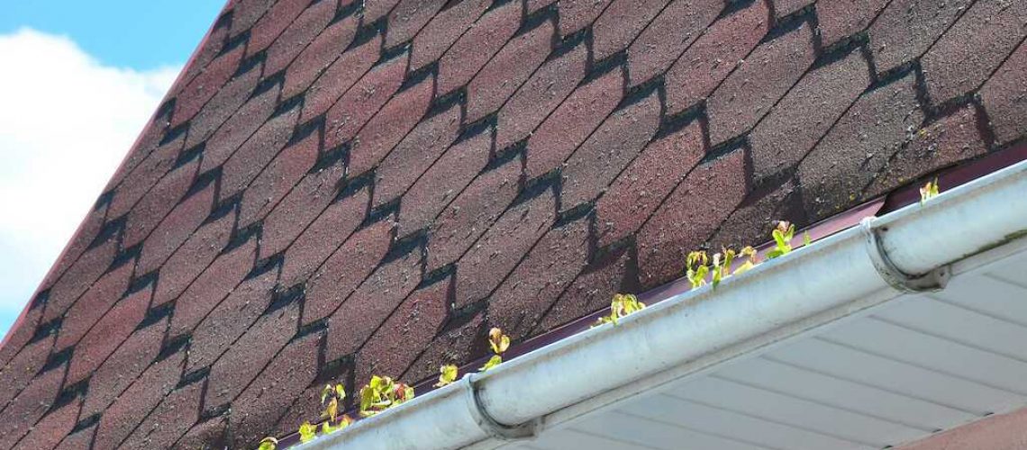 how much do gutters cost