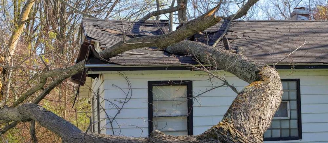 The Importance of Timely Storm Damage Repairs for Your Roof and Siding